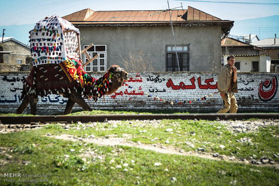 عکس: جشنواره قومی محلی بندر ترکمن