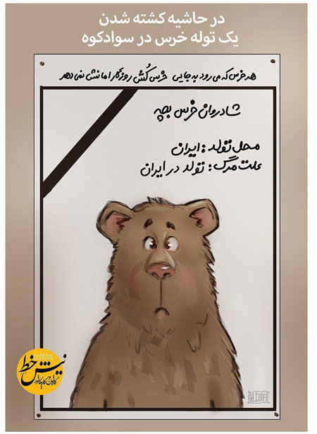 علت مرگ توله خرس؛ تولد در ایران!