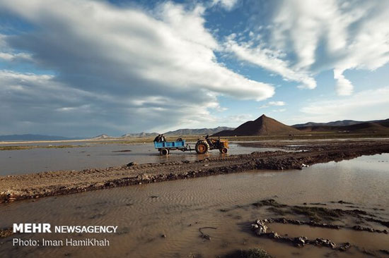 آب‌گیری کامل تالاب آق گل بعد از بیست سال