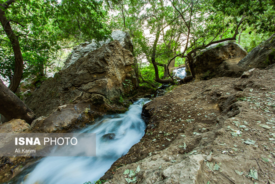 آبشار زیبای «تنگ تامرادی» در یاسوج