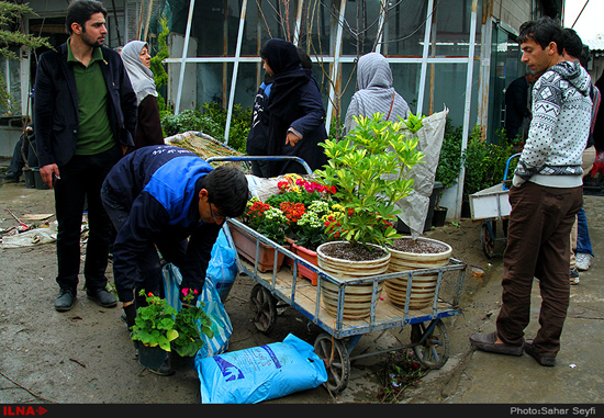 بازار گل و گیاه تهران در آستانه نوروز