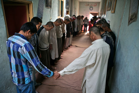 عکس: جنگ تریاک در افغانستان