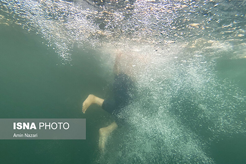 تصاویری از دنیای خنک زیر آب
