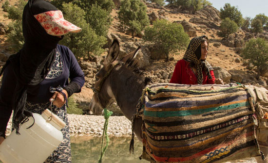 مشقت آبرسانی زنان بختیاری با الاغ