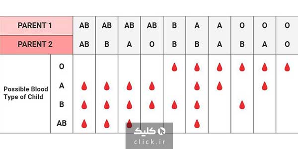 کمیاب‌ترین گروه خونی کدام است؟