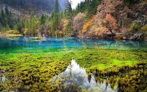زلال‌ترین و زیباترین دریاچه‌های جهان