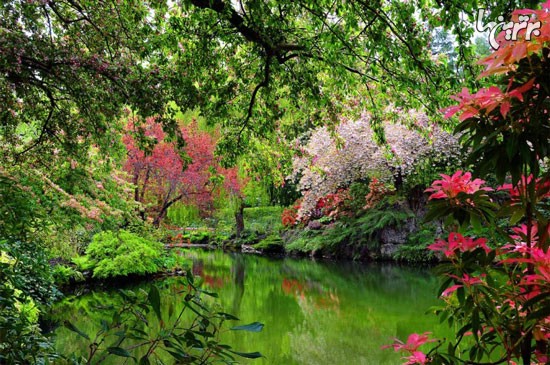 زیباترین باغ ها در سراسر دنیا