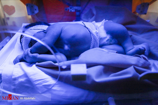 سرنوشت نوزاد یک روزه در پدیده مشهد
