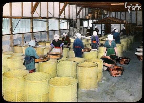 عکس: فرآیند سنتی تولید چای در ژاپن