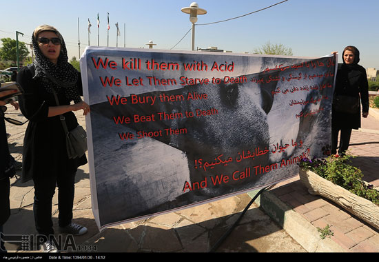 عکس: اعتراض تهرانی ها به سگ کشی اخیر