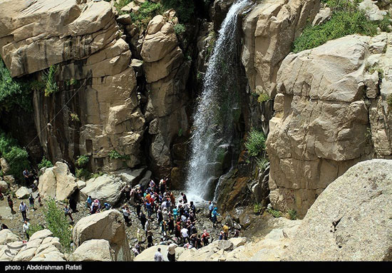 تصاویری از یک روز آرام در «گنجنامه»