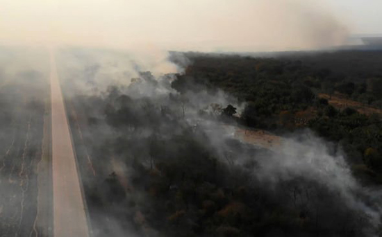 اگر جنگل آمازون کاملا بسوزد چه اتفاقی می‌افتد؟