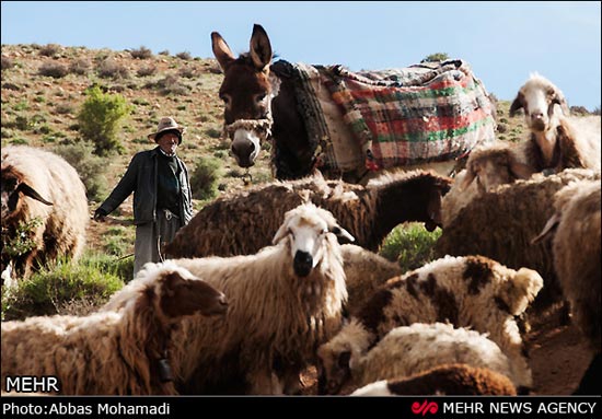 عکس: طبیعت بهاری روستای آب ملخ