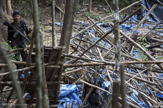 اجساد افراد مجهول الهویه در جنگل +عکس
