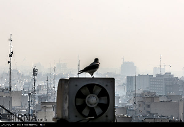 تهران، پاییز، وارونگی، آلودگی، تنفس، بحران