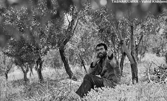زندگی به شیوه انسانهای نخستین!