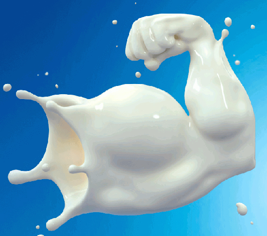 ۸ دلیل مهم برای اینکه «شیر» را دوست داشته باشیم