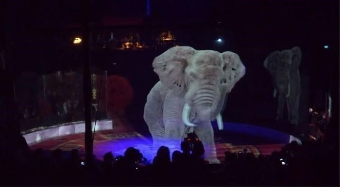 کار جالب و زیبای سیرک آلمانی در حمایت از حیوانات!