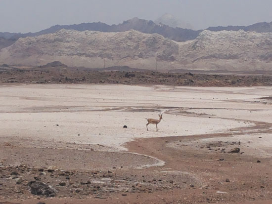 اینجا ایران است (2)