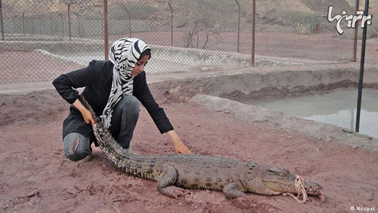 زنان در مشاغل مردانه؛ من هم بولدوزر می‌رانم، هم کامیون