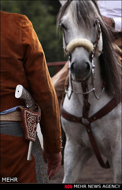 داستان اسب و مکزیکی ها +عکس