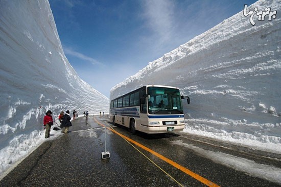 جاده محصور بین برف در ژاپن +عکس