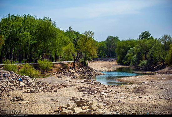 نجات ماهیان گرفتار در جنوب رودخانه زاینده رود