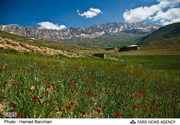 عکس؛ طبیعت زیبای شاه کوه گلستان