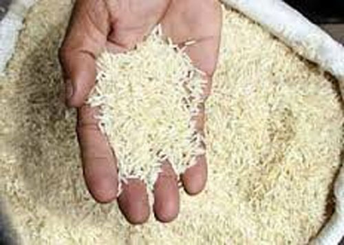 برنج‌های وارداتی از هفته‌ی آینده ترخیص می‌شود