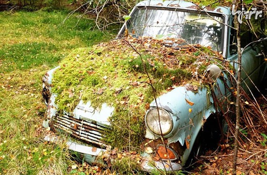 مردی که بعد از 40 سال ماشینش را پیدا کرد