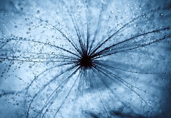 کهکشانی زیبا از قطرات آب +عکس