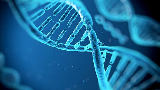 آیا علم ژنتیک می‌تواند طول عمر انسان را زیاد کند؟