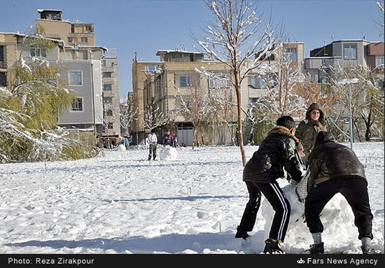 بارش برف و شکسته شدن درختان در شهرکرد