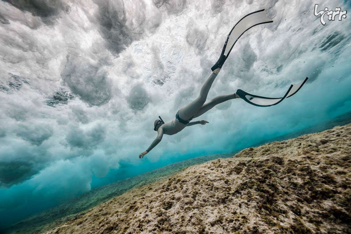 تصاویر شگفت انگیز از حیات زیر آب