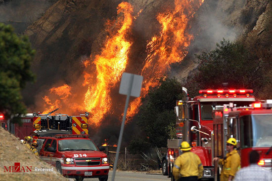 آتش سوزی گسترده در جنگل‌های لس آنجلس