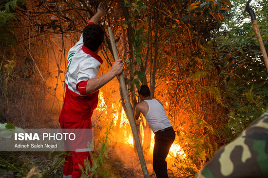 آتش‌سوزی در ارتفاعات روستای مریدان لنگرود