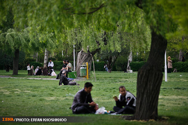 مجموعه عکس: بهار در پارک لاله