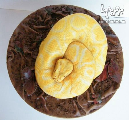آیا جرئت خوردن این کیک را دارید؟! +عکس