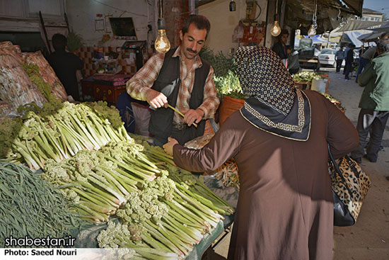 خرید و فروش گیاهان کوهی در ارومیه +عکس