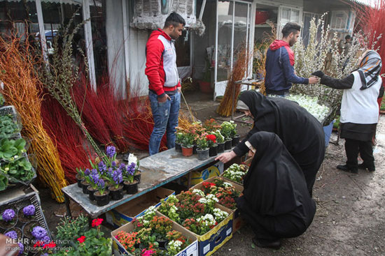 عکس: بازار گل وگیاه تهران