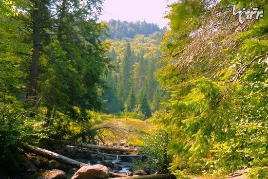 خزان تماشایی پارک ایالتی آلگونکین در کانادا