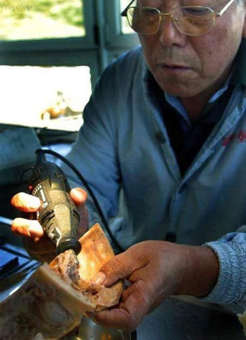دنیای تن ها، نمایش اجساد مرده +عکس