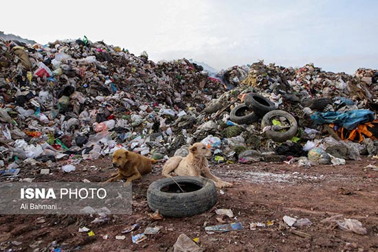 بحران زباله در چناران