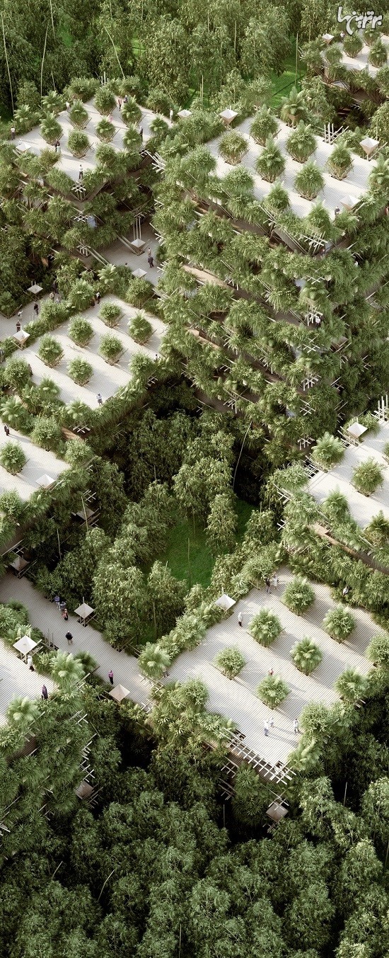 ساخت مجتمع مسکونی درختی با بامبو