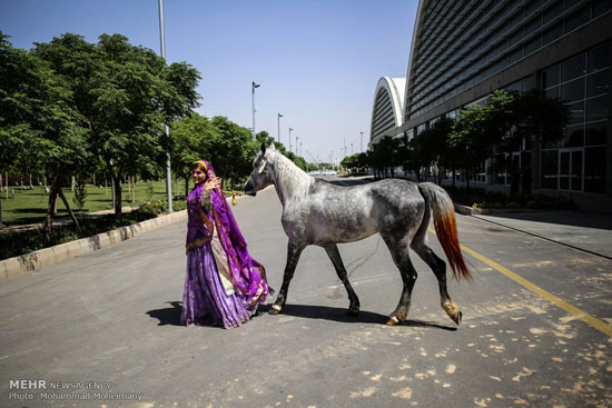 نمایشگاه بین المللی اسب و حیوانات همزیست