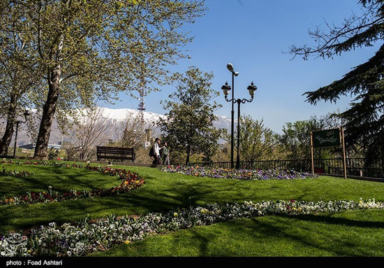 عکس: طبیعت بهاری پارک ملت تهران
