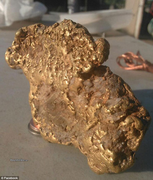 کشف طلای نیم کیلویی توسط یک معدن یاب