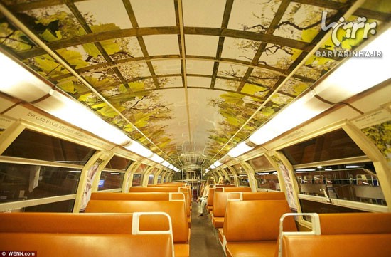 با این قطار مثل یک پادشاه سفر کنید! +عکس