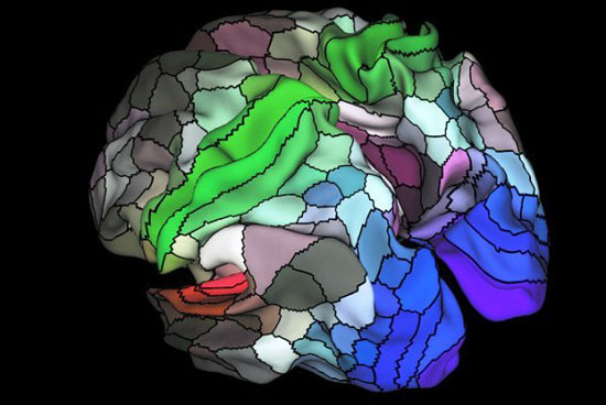 یافته خبرساز دانشمندان درباره مغز