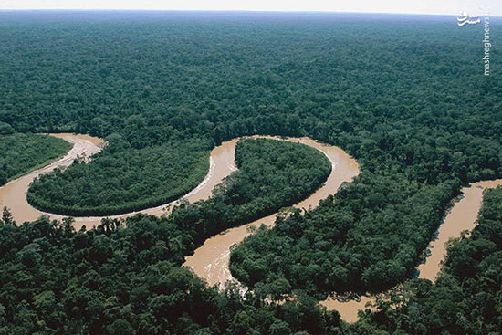 پارک ملی سیرا دل دیویزور در آمازون
